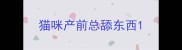 猫咪产前总舔东西