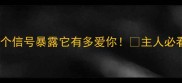 泰迪犬的10个信号暴露它有多爱你主人必看驯养指南