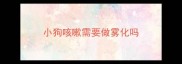 小狗咳嗽需要做雾化吗
