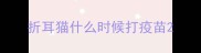 折耳猫什么时候打疫苗