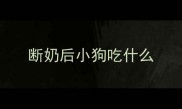 断奶后小狗吃什么
