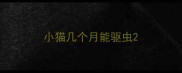 小猫几个月能驱虫