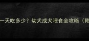 20斤边牧一天吃多少幼犬成犬喂食全攻略附配比表