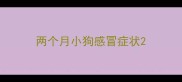 两个月小狗感冒症状