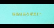 猫猫疫苗在哪里打