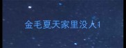 金毛夏天家里没人