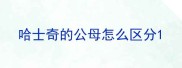 哈士奇的公母怎么区分