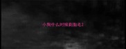 小狗什么时候剃胎毛