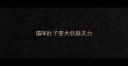 猫咪肚子变大后腿无力