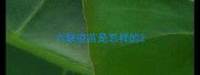六联疫苗是怎样的
