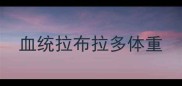 血统拉布拉多体重