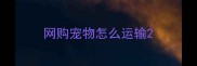 网购宠物怎么运输