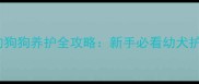 15天大的狗狗养护全攻略新手必看幼犬护理指南