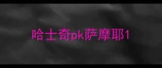 哈士奇pk萨摩耶