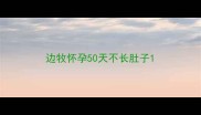 边牧怀孕50天不长肚子