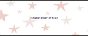 小狗呕吐粘稠白色泡沫