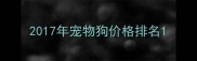 2017年宠物狗价格排名