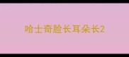哈士奇脸长耳朵长