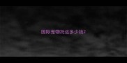 国际宠物托运多少钱