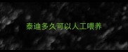 泰迪多久可以人工喂养