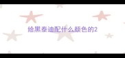 给黑泰迪配什么颜色的