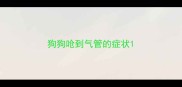 狗狗呛到气管的症状