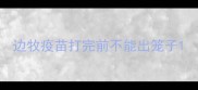 边牧疫苗打完前不能出笼子