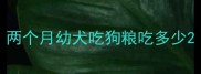 两个月幼犬吃狗粮吃多少