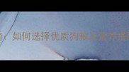 泰迪幼犬科学喂养指南如何选择优质狗粮及营养搭配方案附推荐品牌
