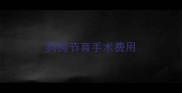 狗狗节育手术费用