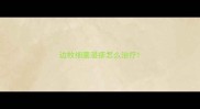 边牧细菌湿疹怎么治疗