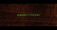 泰迪狗狗六个月还长吗