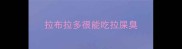 拉布拉多很能吃拉屎臭