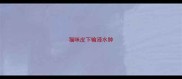 猫咪皮下输液水肿