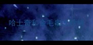 哈士奇和金毛串长啥样