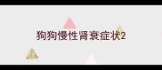 狗狗慢性肾衰症状