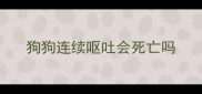 狗狗连续呕吐会死亡吗