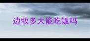 边牧多大能吃饭吗