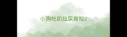 小狗吃奶拉屎颗粒