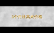 3个月杜高犬价格