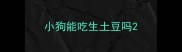 小狗能吃生土豆吗