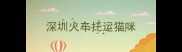 深圳火车托运猫咪