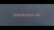 拉布拉多会乱咬人吗