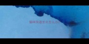 猫咪尿道发炎怎么办