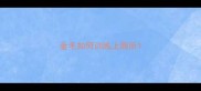 金毛如何训练上厕所
