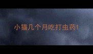 小猫几个月吃打虫药