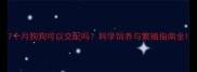 7个月狗狗可以交配吗科学饲养与繁殖指南全