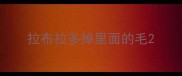 拉布拉多掉里面的毛