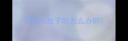 狗狗拉肚子吐怎么办啊