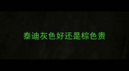泰迪灰色好还是棕色贵